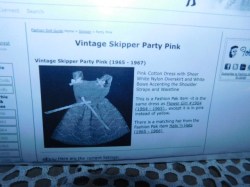 skipper party pink write
